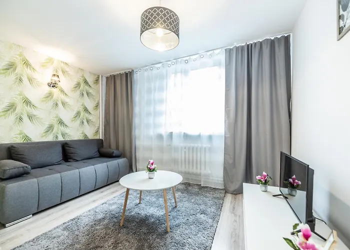 Na Szewskiej Przy Rynku I Jarmarku Bozonarodzeniowym * ヴロツワフ