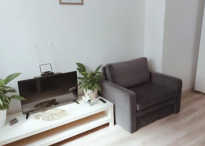 アパート Na Szewskiej Przy Rynku I Jarmarku Bozonarodzeniowym ヴロツワフ