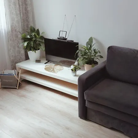 Na Szewskiej Przy Rynku I Jarmarku Bozonarodzeniowym Wroclaw